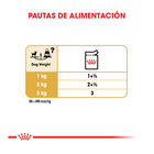 Royal Canin Adult Chihuahua paté en sobre , , large image number null